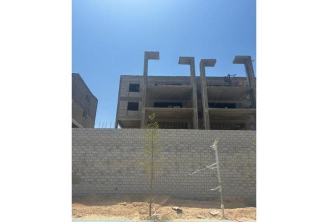 8234853 - صورة العقار 3