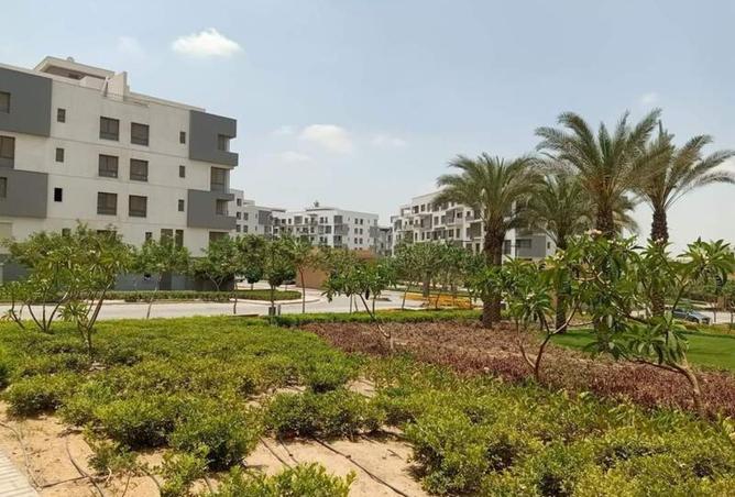 8259339 - الصورة الرئيسية للعقار