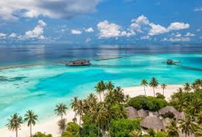 8000467 - صورة العقار 2