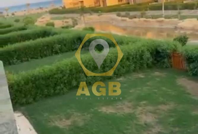 7997192 - صورة العقار 3