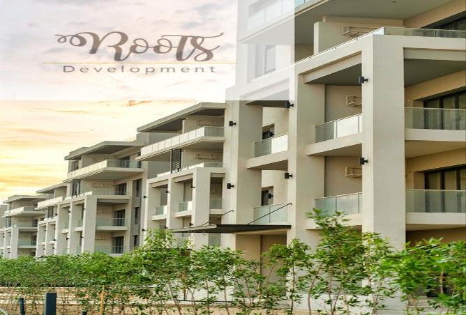 7977709 - Property Image 3