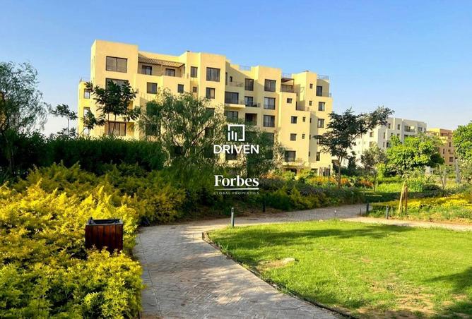8088675 - Property Main Image