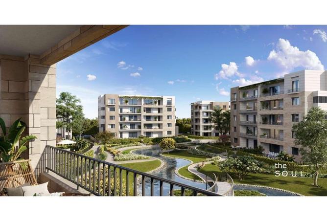 8243858 - Property Image 3