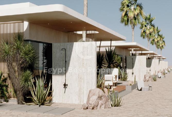 8124513 - Property Image 3