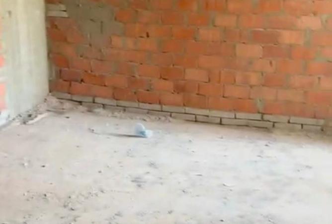 8450384 - صورة العقار 3