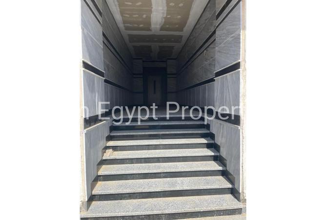 8392684 - Property Image 2