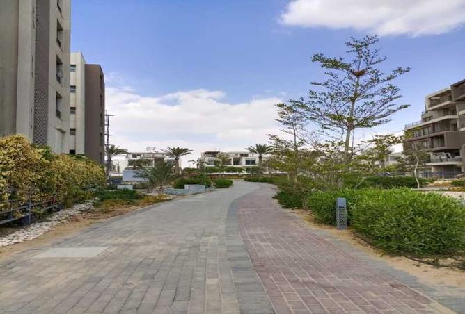 8292493 - Property Image 3