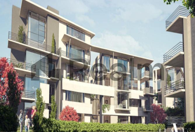 8386230 - Property Image 3