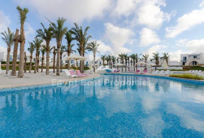 8364434 - صورة العقار 3