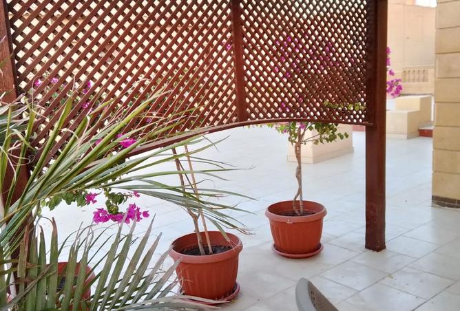 8231585 - صورة العقار 2