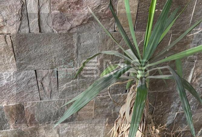 7720474 - Property Image 3