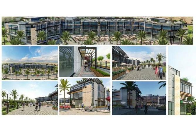 8480320 - Property Image 2