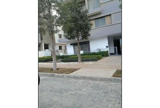 8140596 - صورة العقار 3