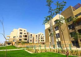 Apartment - 1 bedroom - 2 bathrooms for للبيع in Palm Parks Palm Hills - South Dahshur Link - 6 October City - Giza Apartment - 1 bedroom - 2 bathrooms for للبيع in Palm Parks Palm Hills - South Dahshur Link - 6 October City - Giza