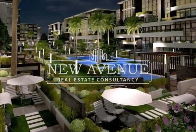 8113592 - Property Image 3
