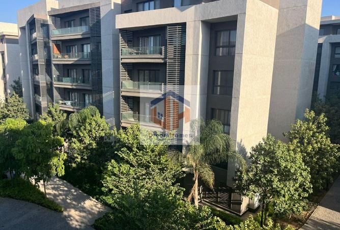 7906006 - Property Image 3