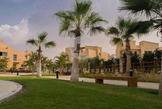 6692168 - صورة العقار 3