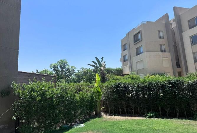 8006014 - صورة العقار 3