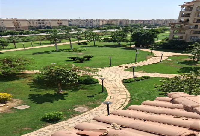 7979341 - Property Main Image