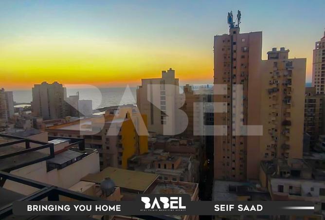 7955752 - صورة العقار 3
