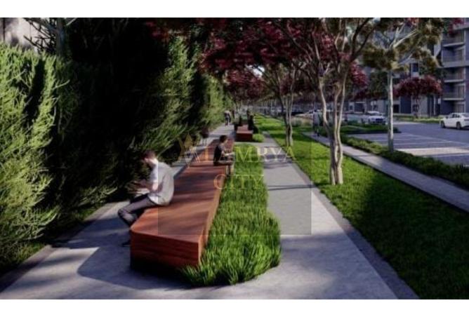8117530 - Property Image 2