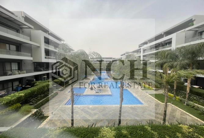 8142297 - Property Image 2