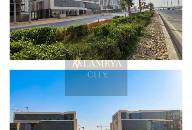 8493484 - Property Image 3