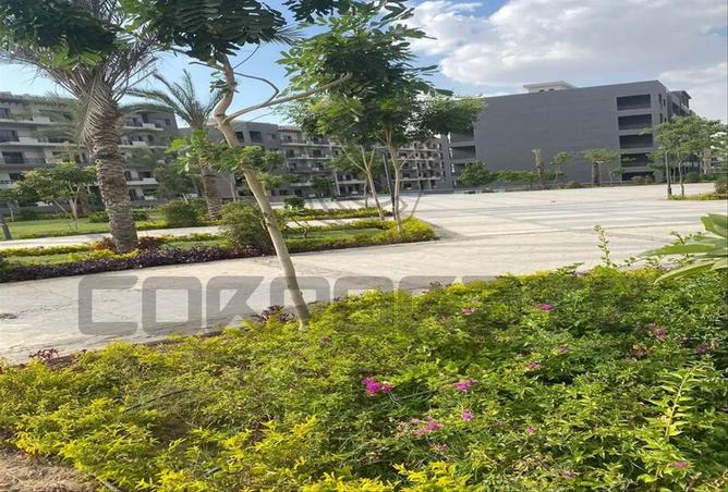 8309245 - صورة العقار 2