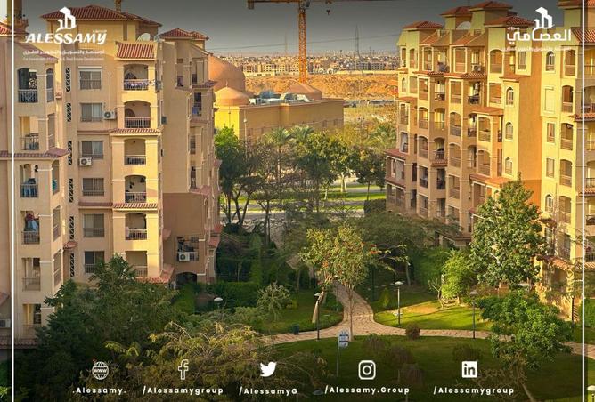 8297677 - صورة العقار 3