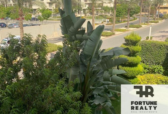 8372092 - Property Image 3