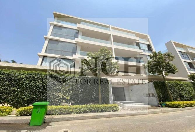 7936575 - Property Image 3
