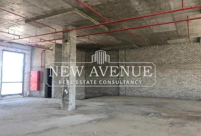7996961 - Property Image 3