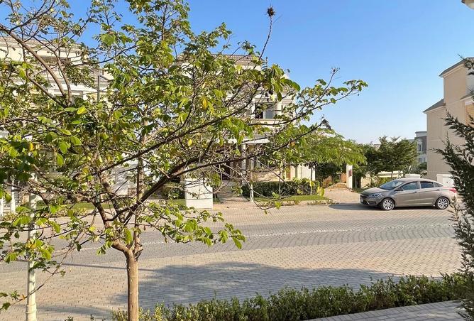 7900290 - صورة العقار 3