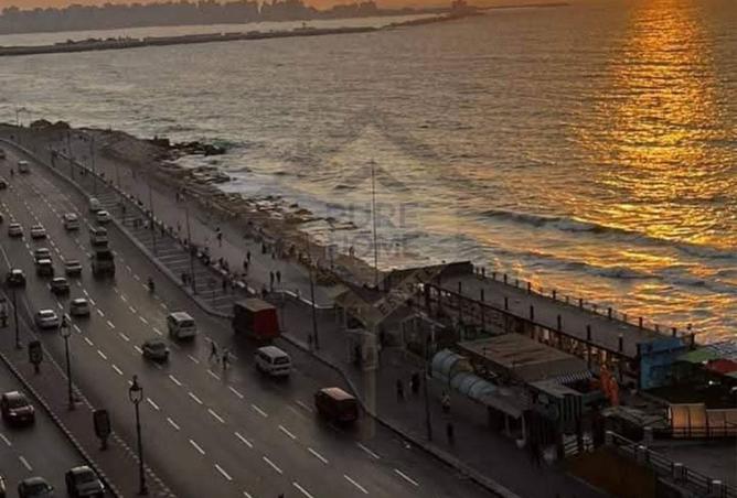 8187689 - الصورة الرئيسية للعقار