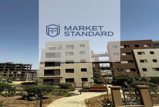 7945077 - Property Image 3