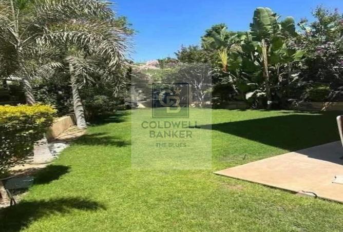 8317564 - Property Image 3