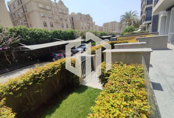 8096516 - Property Image 2