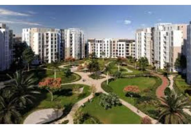 8408116 - Property Image 2