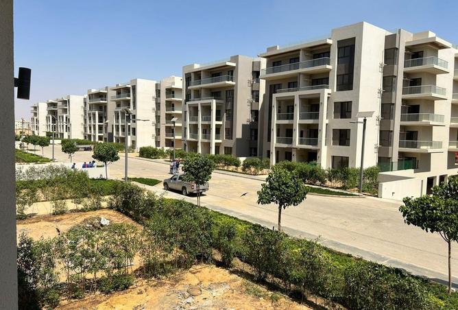 8169336 - صورة العقار 2