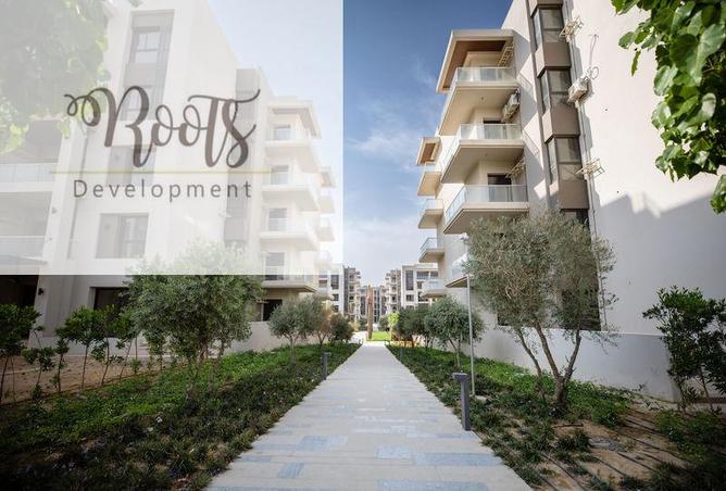 7977938 - Property Image 2