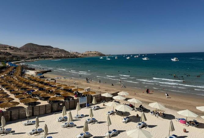 8394778 - Property Image 3