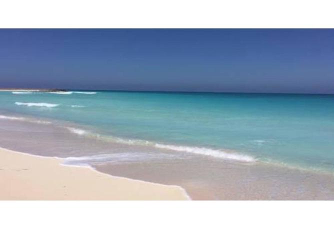 7989254 - صورة العقار 2