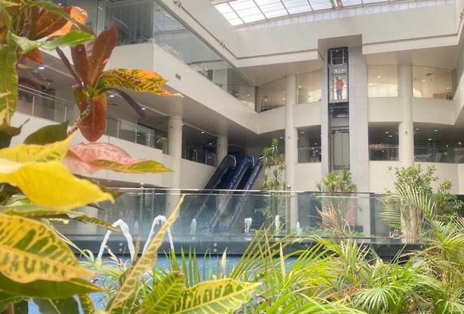 8289547 - صورة العقار 2