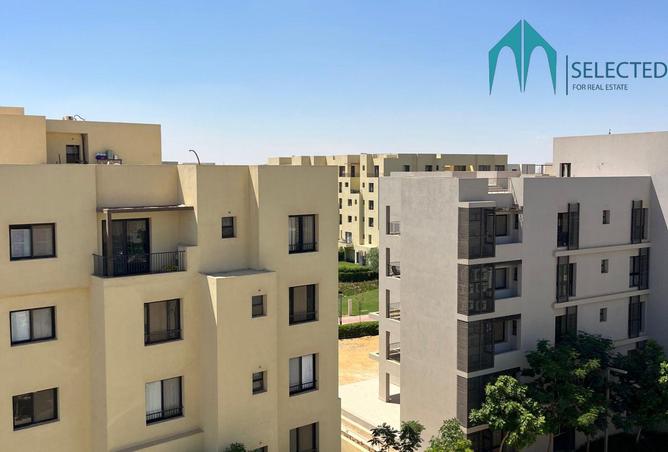 8064499 - Property Image 3