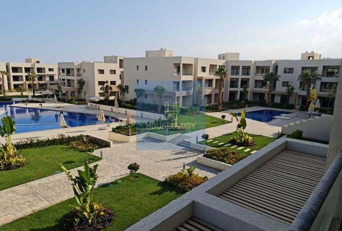 8431518 - Property Image 3