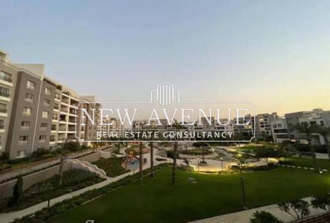 8127186 - Property Image 3