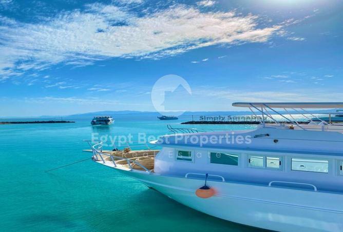 7976352 - Property Image 3