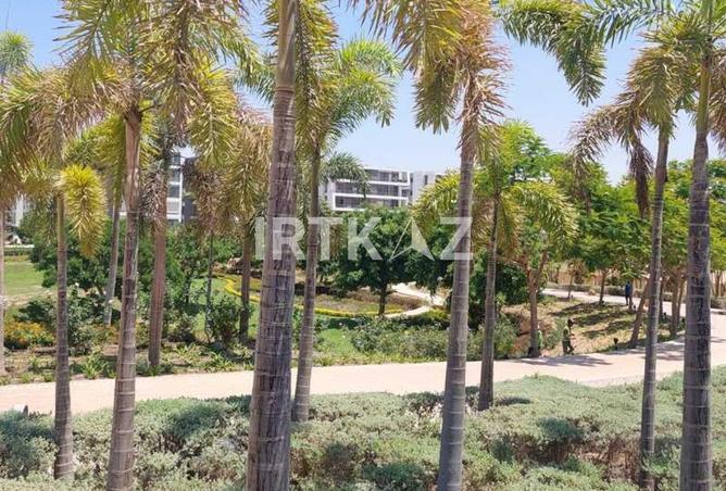 8445241 - Property Image 3