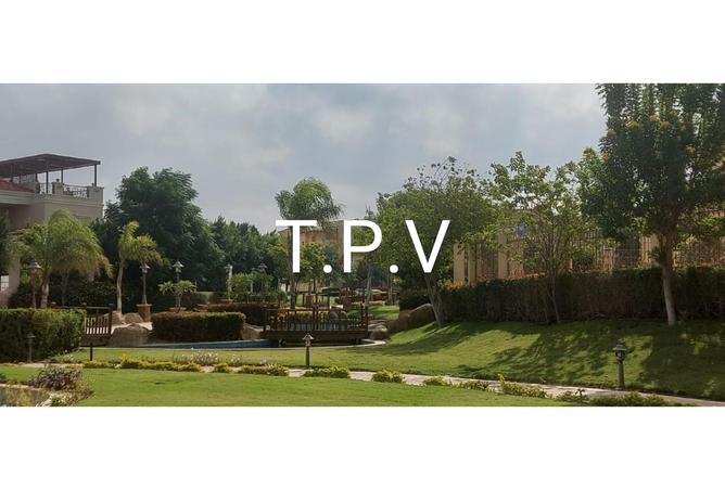 8199093 - صورة العقار 3