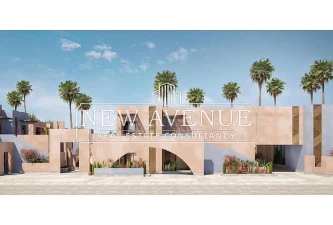 8195188 - Property Image 3